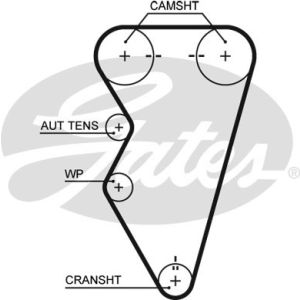 Cam / Timing Belt