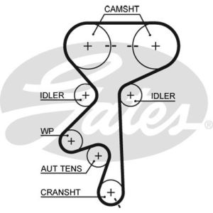 Cam / Timing Belt