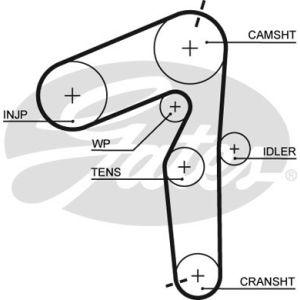 Cam / Timing Belt