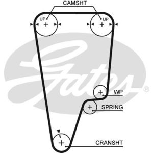 Cam / Timing Belt