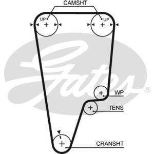 Cam / Timing Belt