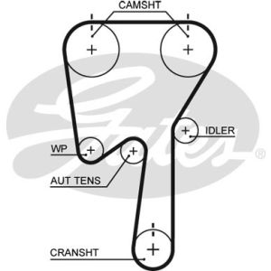 Cam / Timing Belt