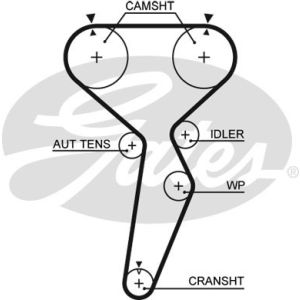 Cam / Timing Belt