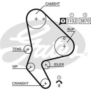 Cam / Timing Belt