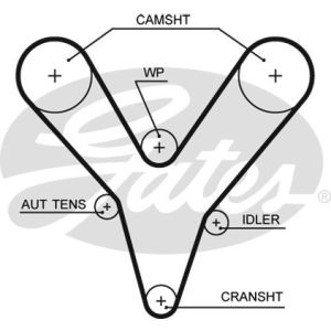 Cam / Timing Belt