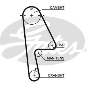 Cam / Timing Belt