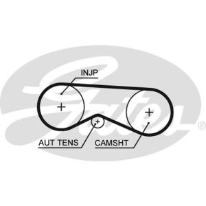 Cam / Timing Belt