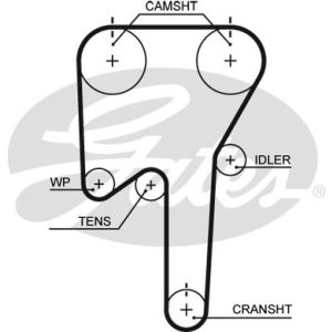 Cam / Timing Belt