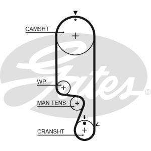 Cam / Timing Belt