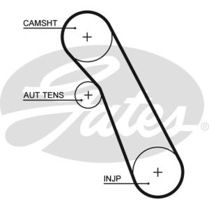 Cam / Timing Belt