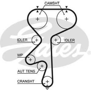 Cam / Timing Belt