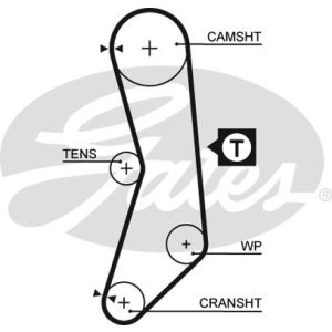 Cam / Timing Belt