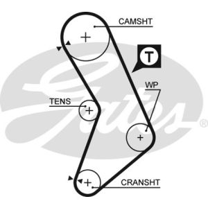 Cam / Timing Belt