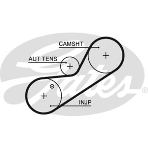 Cam / Timing Belt