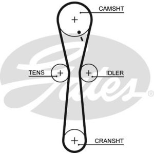 Cam / Timing Belt