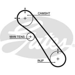 Cam / Timing Belt