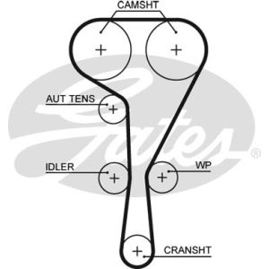 Cam / Timing Belt