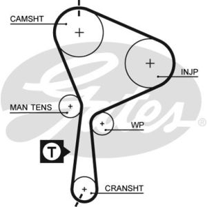 Cam / Timing Belt