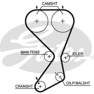 Cam / Timing Belt