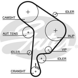 Cam / Timing Belt