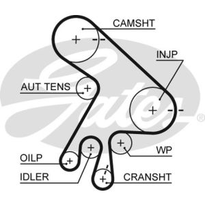 Cam / Timing Belt