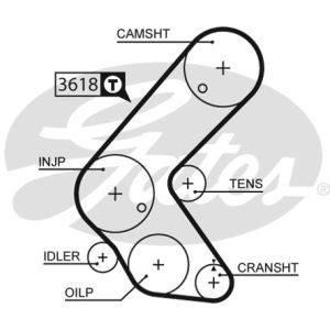 Cam / Timing Belt