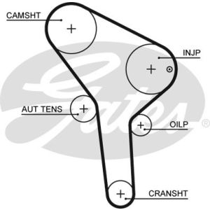 Cam / Timing Belt