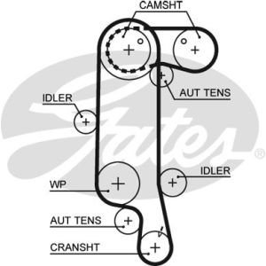 Cam / Timing Belt