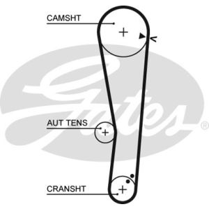 Cam / Timing Belt