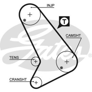 Cam / Timing Belt