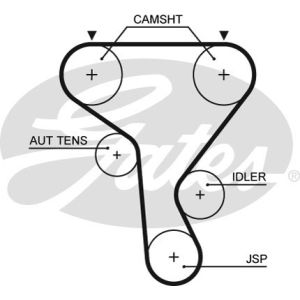 Cam / Timing Belt