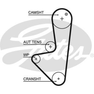 Cam / Timing Belt