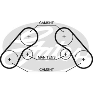 Cam / Timing Belt