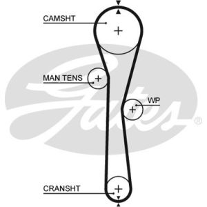 Cam / Timing Belt