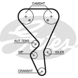 Cam / Timing Belt