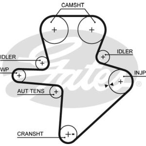 Cam / Timing Belt