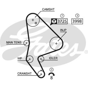 Cam / Timing Belt