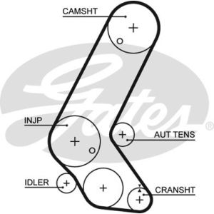 Cam / Timing Belt