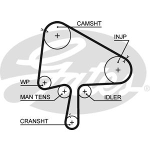 Cam / Timing Belt