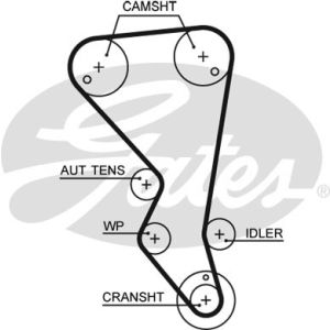 Cam / Timing Belt