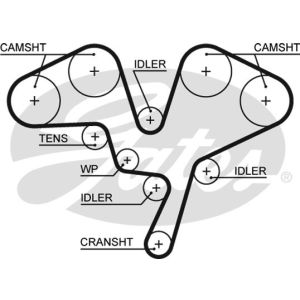 Cam / Timing Belt