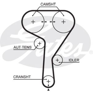 Cam / Timing Belt