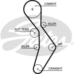 Cam / Timing Belt