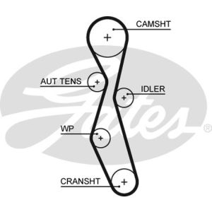 Cam / Timing Belt