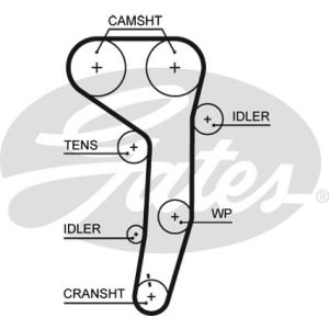 Cam / Timing Belt