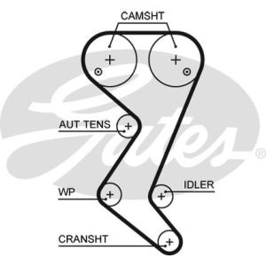 Cam / Timing Belt