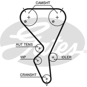 Cam / Timing Belt