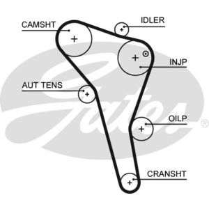 Cam / Timing Belt