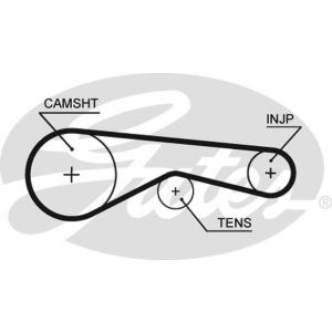 Cam / Timing Belt