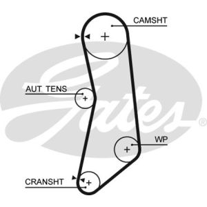 Cam / Timing Belt